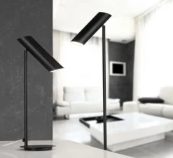 Lampadaire*Faro Lampadaire, liseuse, Link, , LED, Ø20cm, H110cm - noir