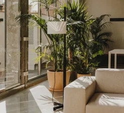 Lampadaire*Santa & Cole Lampadaire, TMM, , Ø60cm, H166cm - chêne noir, abat-jour blanc