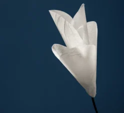 Lampe à poser, For You, blanc, base en laiton, tige en tissu bleu, câble bleu, LED, dim, 1878K, 93,5 lm, L4,5cm, H34cm - Catellani & Smith