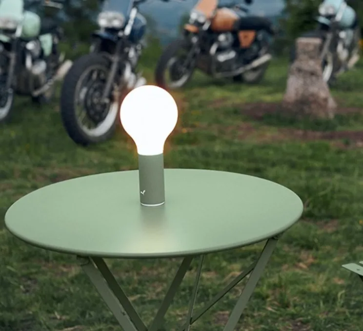 Lampe, Baladeuse, APLÔ, cactus, IP54, 3000 à 6000K, Ø11.5cm, H24.5cm - FERMOB