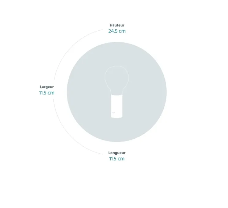Lampe, Baladeuse, APLÔ, cactus, IP54, 3000 à 6000K, Ø11.5cm, H24.5cm - FERMOB