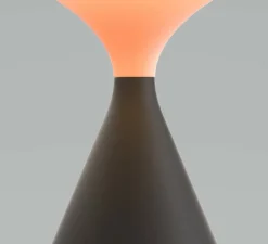 Lampe, Baladeuse, Salt, noir, IP21, LED, dim, 2700K, 450 lm, Ø12,8cm, H19cm - GRAU