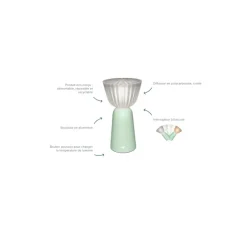 Lampe, Baladeuse, Swiing, gris argile, IP54, LED, dim, 2700K, 35 lm, Ø10cm, H20cm - Fermob