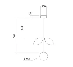 Plafonnier, Plant, laiton, Ø15cm, H78cm - Atelier Areti