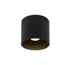 Plafonnier & Spot*Wever&Ducré Plafonnier, Ray outdoor 1.0, , IP65, LED, dim, 2700k, 525 lm, Ø11,4cm, H10cm - noir