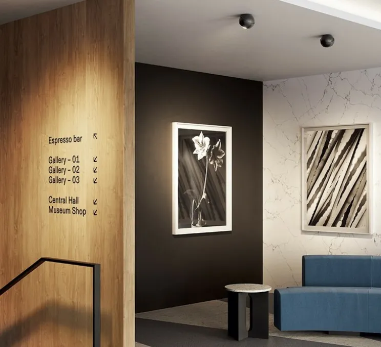 Plafonnier, Spider, noir mat, LED, 2700K, 920 lm, Ø12cm, H10cm - Lodes