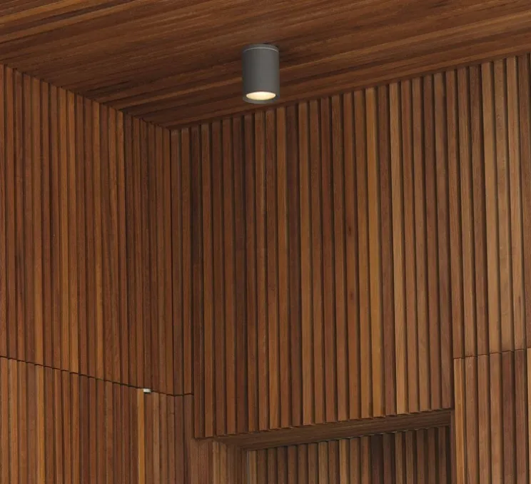 Plafonnier, Tasa, gris, Ø11cm, H14cm, IP44, 40° - Faro