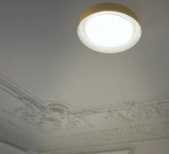 Plafonnier & Spot*Faro Plafonnier, TENDER, , LED, 3000K, 1369lm, Ø45cm, H8,2cm - blanc