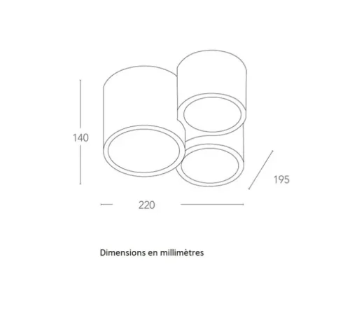 Plafonnier, Vertbois, plâtre, prêt à peindre, Isaline, Triple, blanc, Ø22cm, H14cm - Nedgis