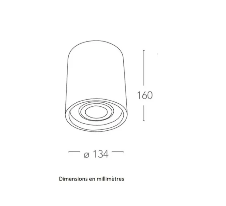 Plafonnier, Vertbois, plâtre, prêt à peindre, Zoé, Tube, Orientable, blanc, Ø13,4cm, H16cm - Nedgis
