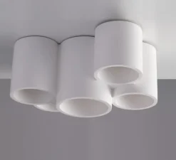 Plafonnier & Spot*Nedgis Plafonnier, Vertbois, plâtre, prêt à peindre, Isaline, Cinq, , Ø29,5cm, H14cm - blanc