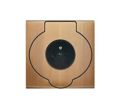 Prise*Modelec Prise, Confidence, Simple, Vieux bronze, Prise de sol 2P+T x1, Noir, L8cm, H8cm -