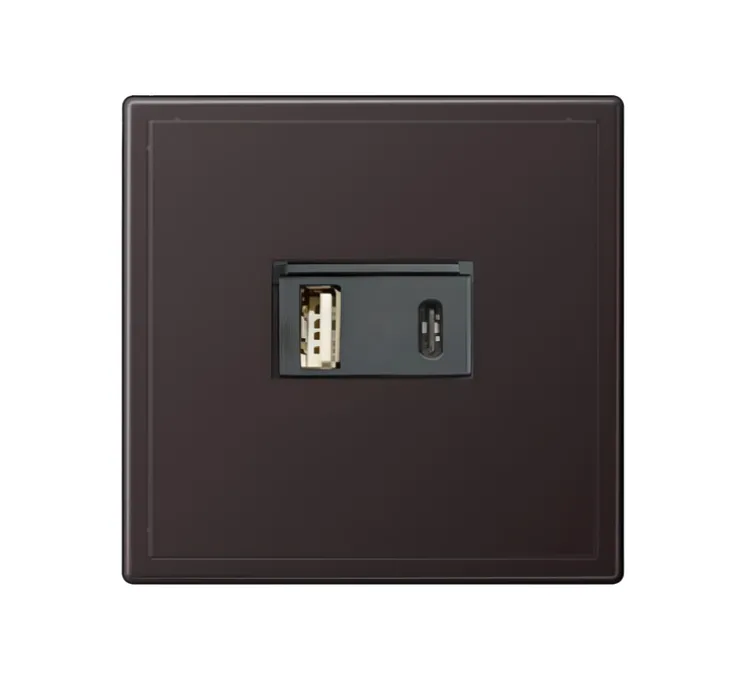 Prise, LS 990, Simple, Canon de fusil, Prise-USB A/C x1, L8,1cm, H8,1cm - Jung