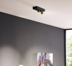 Spot, Bliek Petit Surface 2.0, noir et or, LED, dim, 2700K, 940 lm, L23cm, H3,4cm - Wever&Ducré