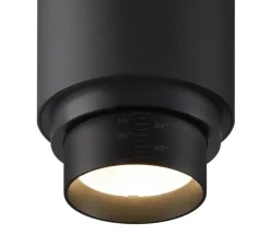 Plafonnier & Spot*SLV Spot pour rail, Numinos Zoom M Dali, , LED, dim, 3000K, 1800 lm, L19cm, H16,5cm - noir