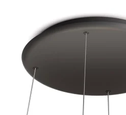 Suspension*GRAU Suspension monte et baisse, Flying , , LED, dim, 3500K, 4800 lm, Ø58cm, H1,4cm - noir