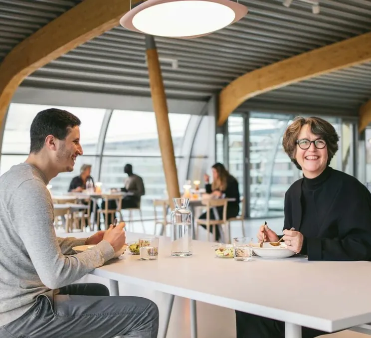 Suspension monte et baisse, Flying , rose, LED, dim, 3500K, 4800 lm, Ø58cm, H1,4cm - Grau