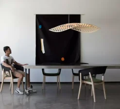 Suspension, Navicula Small, naturel, LED, dim, 2700K, L144cm, H20cm - David Trubridge