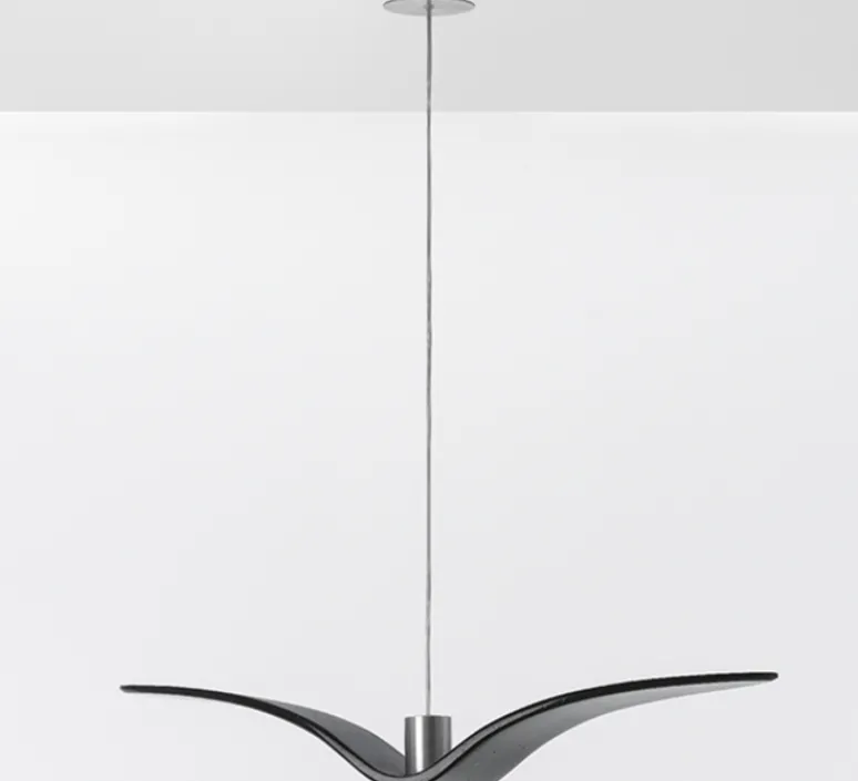 Suspension*Brokis Suspension, Night Birds, , LED, ø78cm, H12cm - noir