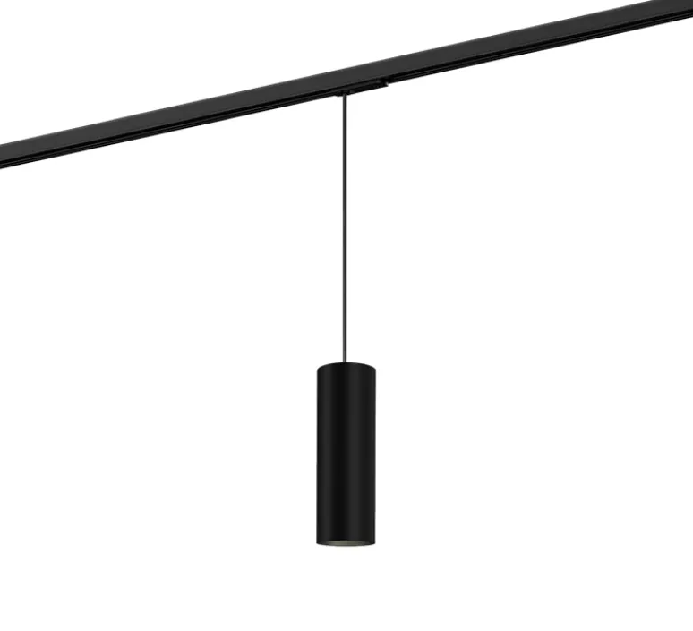 Suspension*Wever&Ducré Suspension pour rail, Ray 2.0 PAR16, , Ø6,7cm, H20cm - noir