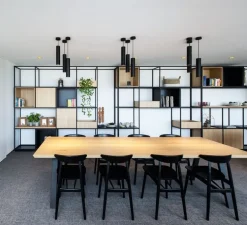 Suspension, Ray 3.0 PAR16 sans rosace, noir, Ø6,7cm, H30cm - Wever&Ducré