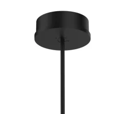 Suspension*Wever&Ducré Suspension, Ray ceiling suspended 2.0, , LED, 3000K, 420lm, Ø6,7cm, H20cm - noir